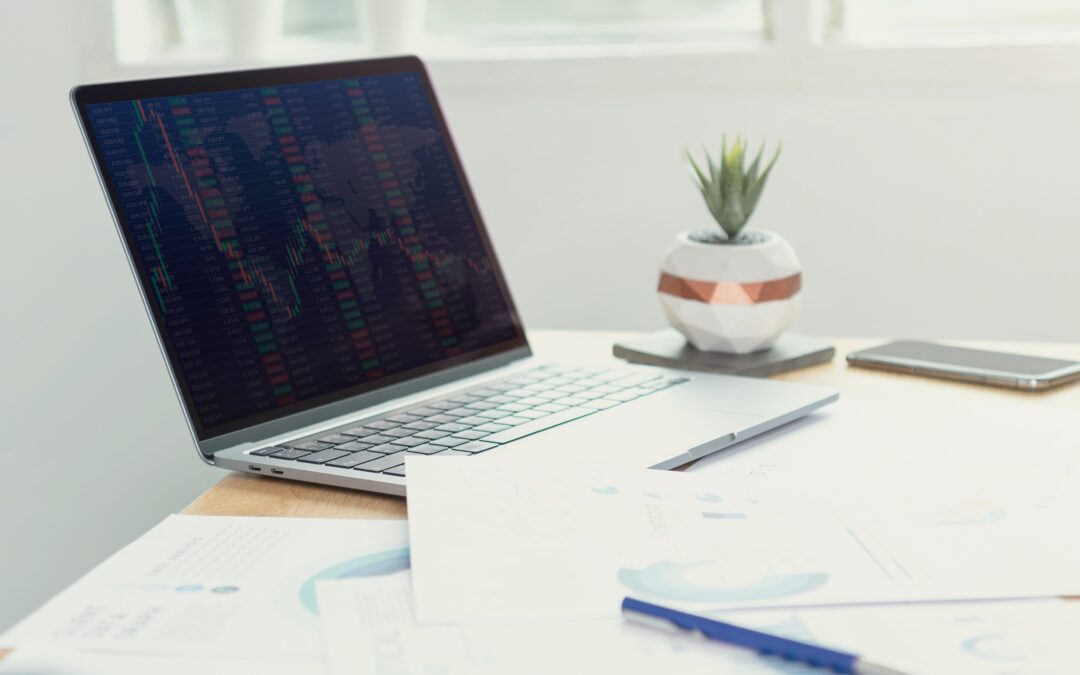 Comportamientos de inversión en criptomonedas: ¿Qué debe saber?